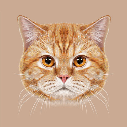 Cat Face Photorealistic Graphic Design AI Vector