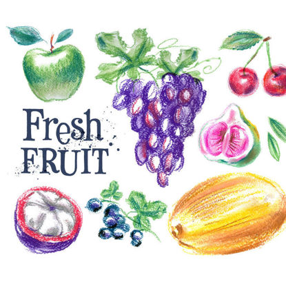 Colored Pencil Hand Drawn Fruits Vector