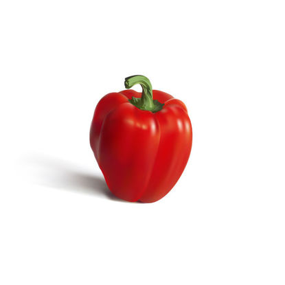 Photorealistic Red Bell Pepper Graphic AI Vector