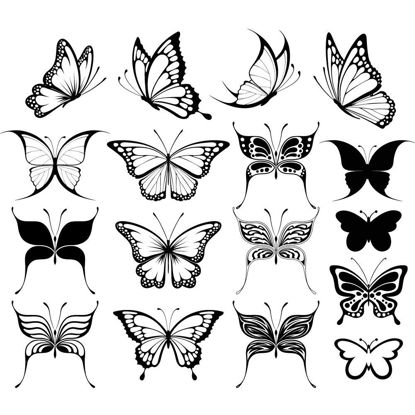 Butterflies AI Vector