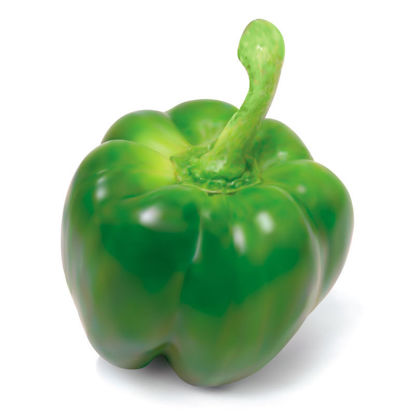 Vegetable Green Pepper Photorealistic Graphic Design AI Vector