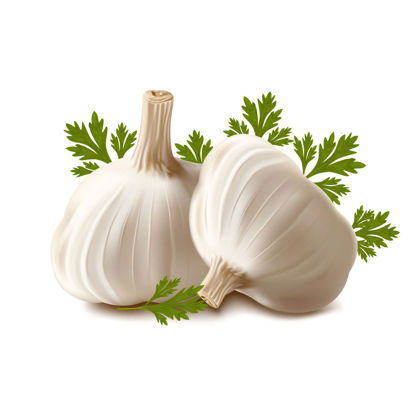 Photorealistic Vegetable Garlic Graphic AI Vector