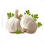 Photorealistic Vegetable Garlic Graphic AI Vector