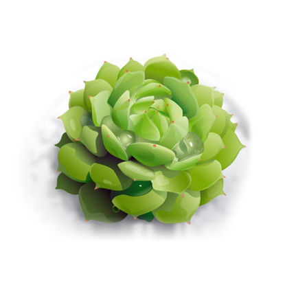 Photorealistic Succulent Plant Graphic AI Vector