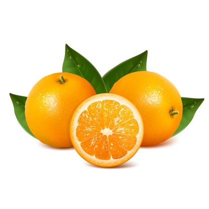 Photorealistic Fruits Oranges Graphic Elements AI Vector