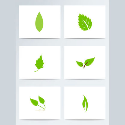 6 Green Leaves AI Vector