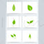 6 Green Leaves AI Vector