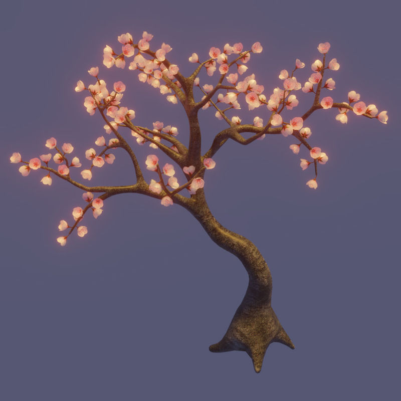 cherry tree 3d model