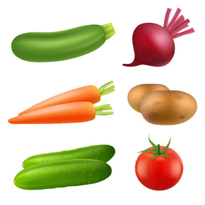 potatoes, cucumbers, tomatoes, carrots vector
