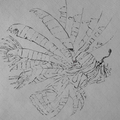 Oceanfish sketch