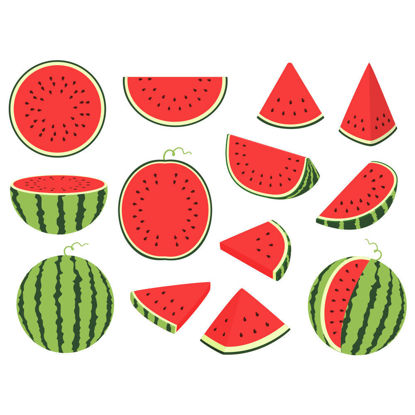 Cartoon sliced watermelon and red flesh vector