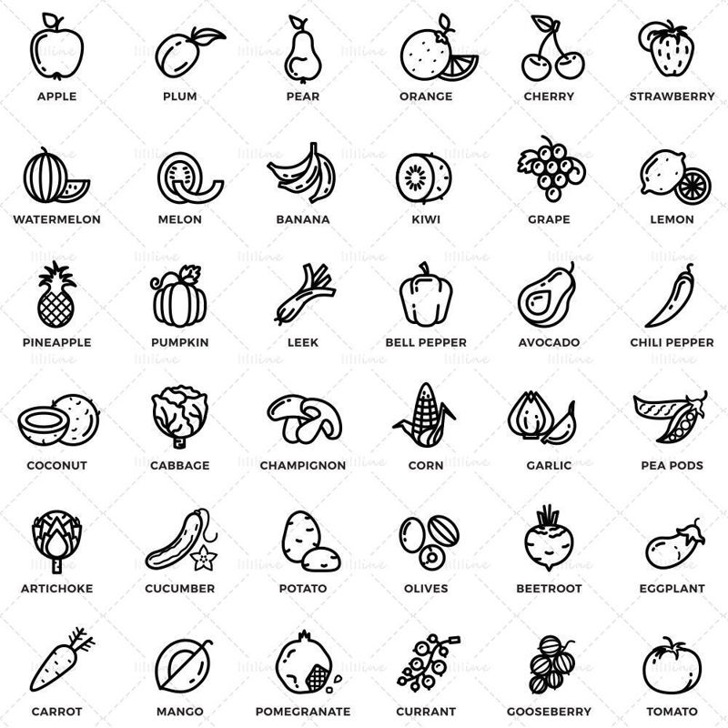 Fruits and vegetables outline vector illustration ICON