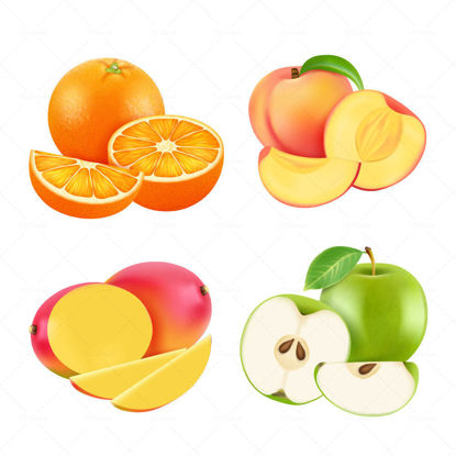 Fresh fruit vector