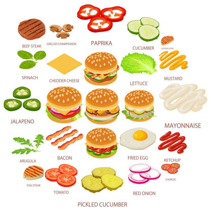 Vector burger ingredients, vegetables, mayonnaise