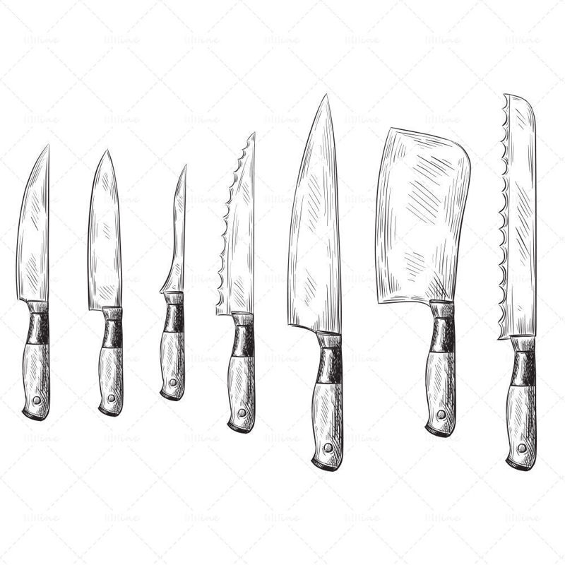 Vector hand drawn dinner knife vintage chef knife engraved kitchen knife