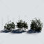 Shrubs 3D Model Pack
