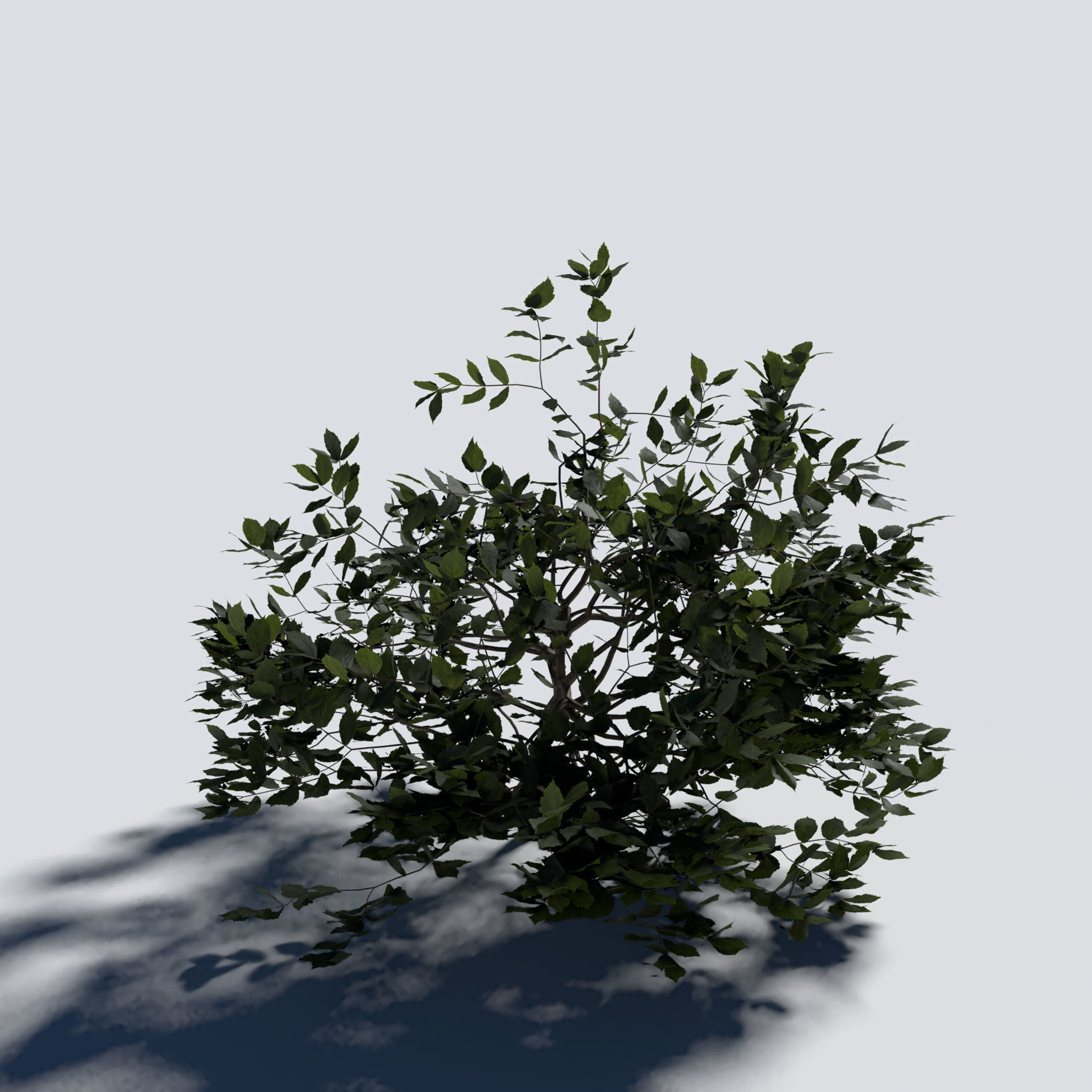 Shrubs 3D Model Pack