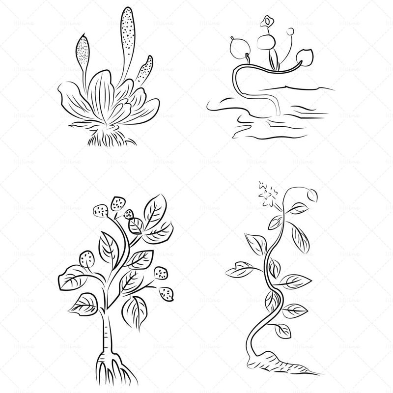 Flowers and plants AI vector
