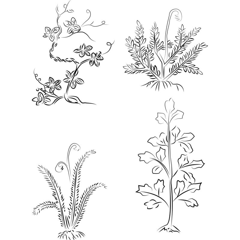 Hand drawn AI vector of flowers and plants