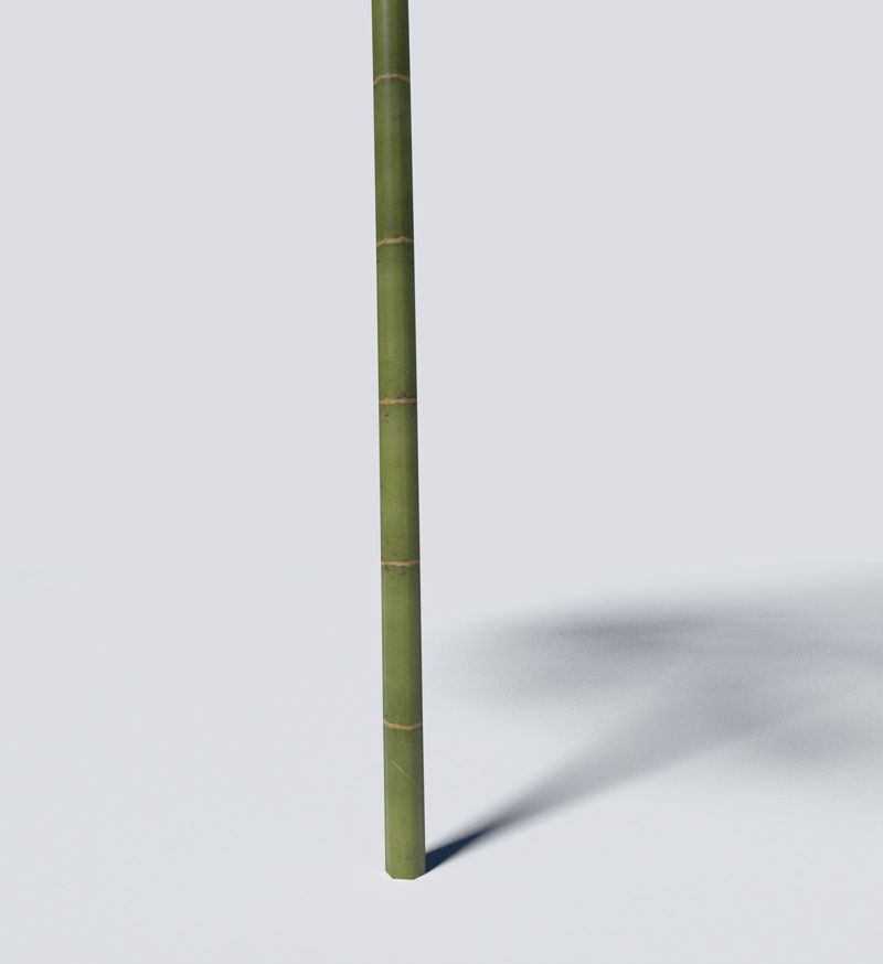 Bamboo 3D Model Pack