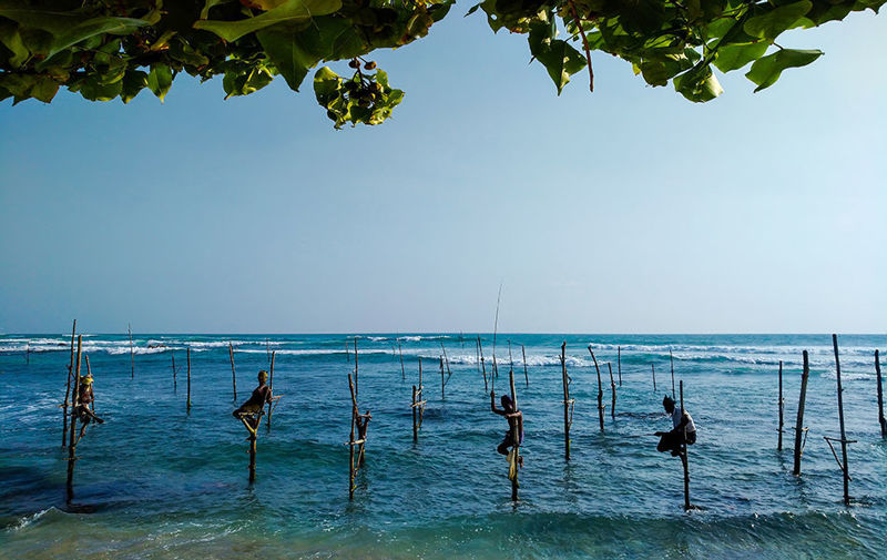 斯里兰卡海边高跷捕鱼