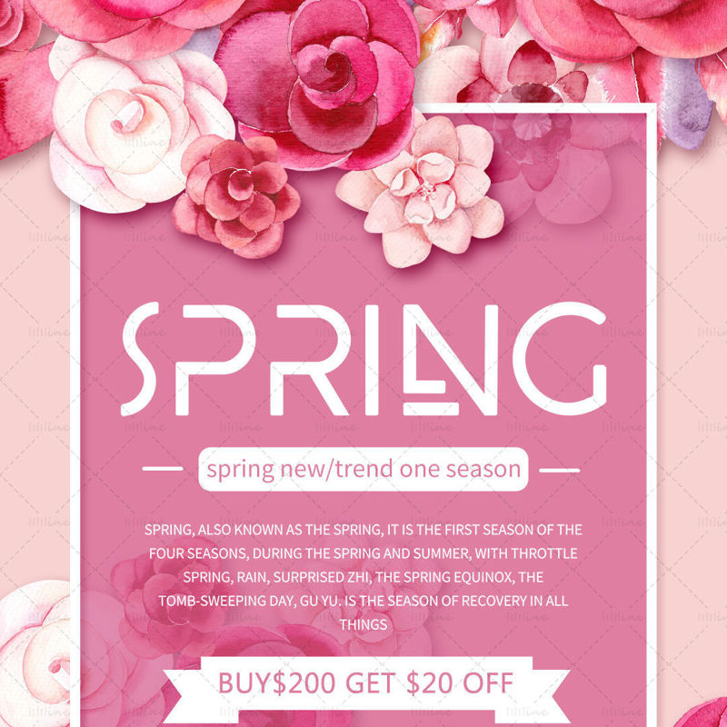 Cartel de promoción de primavera rosa.