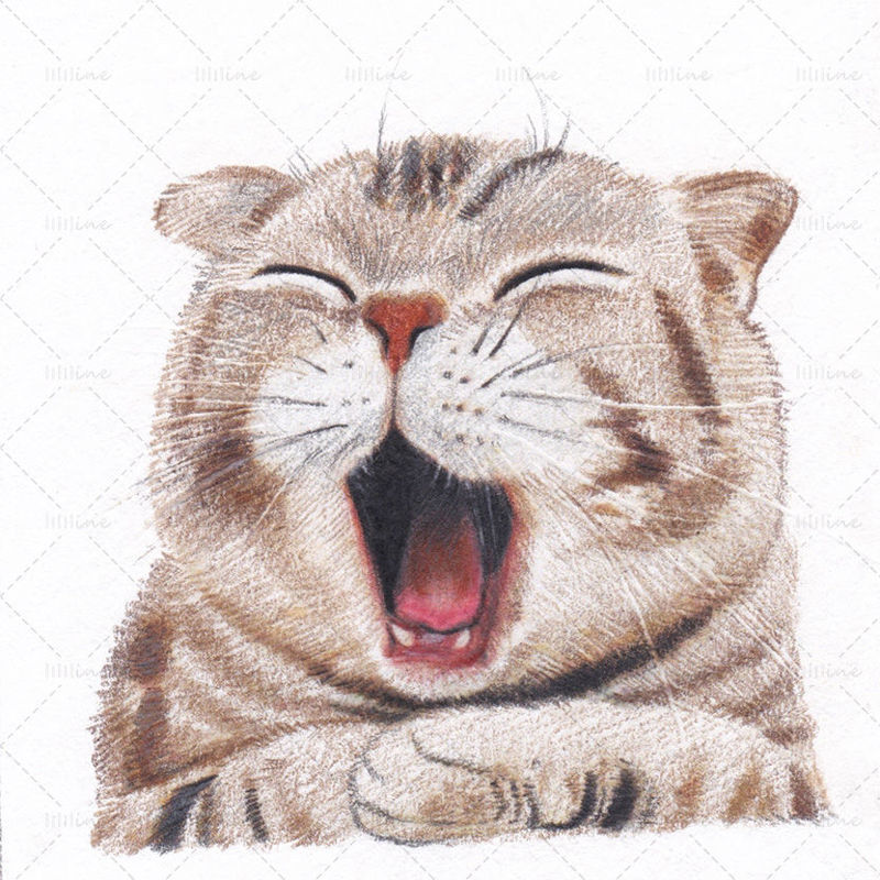 Yawning cat painting