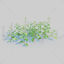 Stinging Nettle Pack