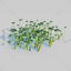 Fig Buttercup Pack 3D Model