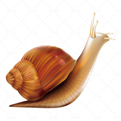 Vector animal snail ai