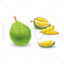 Hand drawn opened durian vector ai