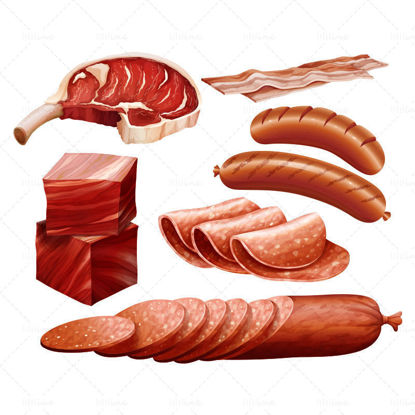 Realistic vector sausages and bacon