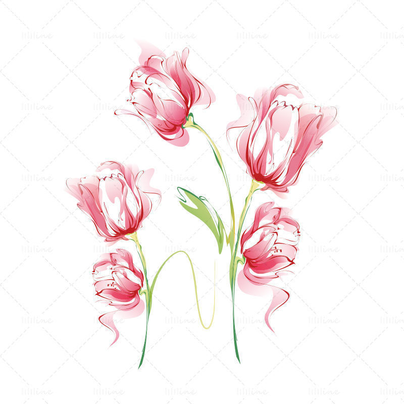 Vector hand drawn carnation watercolor painting