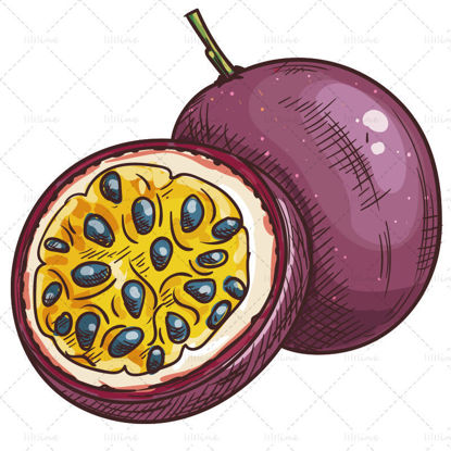 تصویر کشیده شده میوه میوه شور