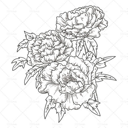 Dibujado a mano flor de peonía trazos simples dibujo lineal