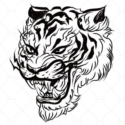 Año del tigre de estilo chino pintado a mano cabeza de tigre