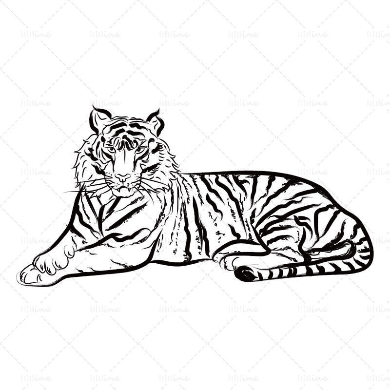 Година на тигъра ръчно рисуван тигър легнал