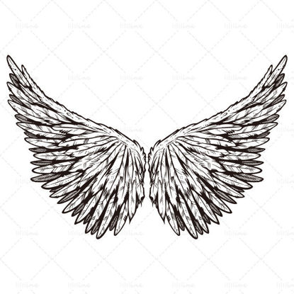 Vektorové čáry křídla