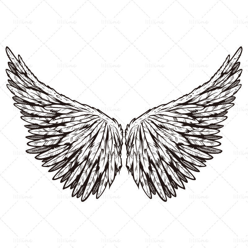 Vektorové čáry křídla