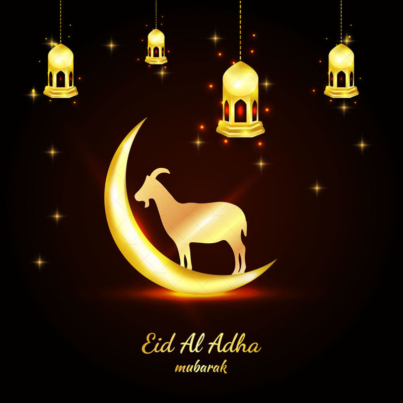Eid al adha mubarak golden islamic banner with lights goat moon vector illustration banner