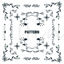 Vector vintage pattern decoration