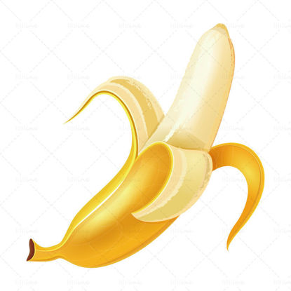 Vector de plátano pelado