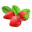 Realistic vector strawberry