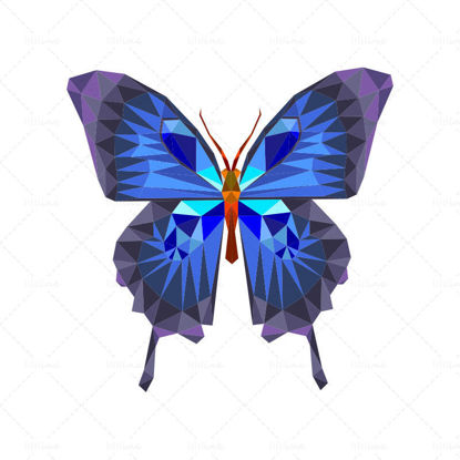 Vektorové geometrické motýl