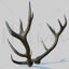 Reed Deer Antlers Scan 3D-model
