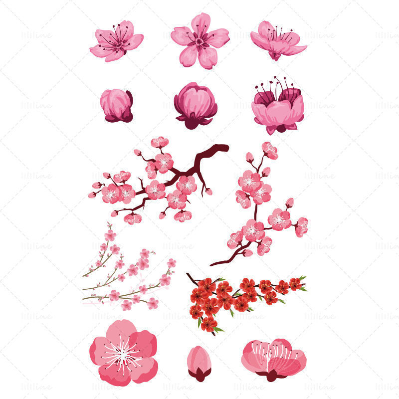 Vector various styles of peach blossoms