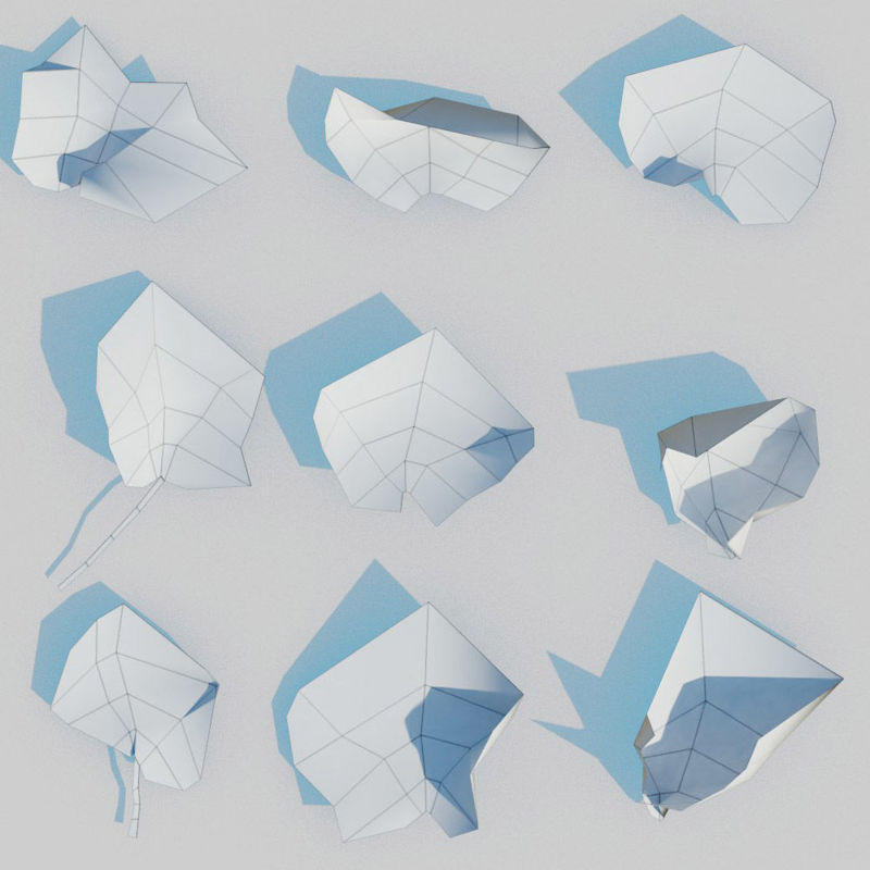 Pacchetto di foglie d'acero secco Modello 3D