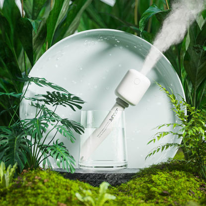 Forest scene humidifier 3d project c4d model