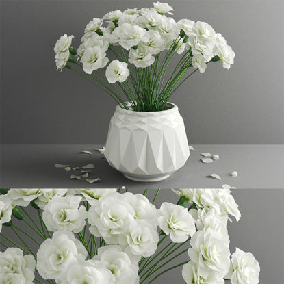 Flower potted white rose petal 3d model c4d