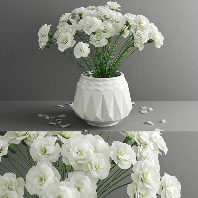 花鉢植えの白いバラの花びら3Dモデルc4d
